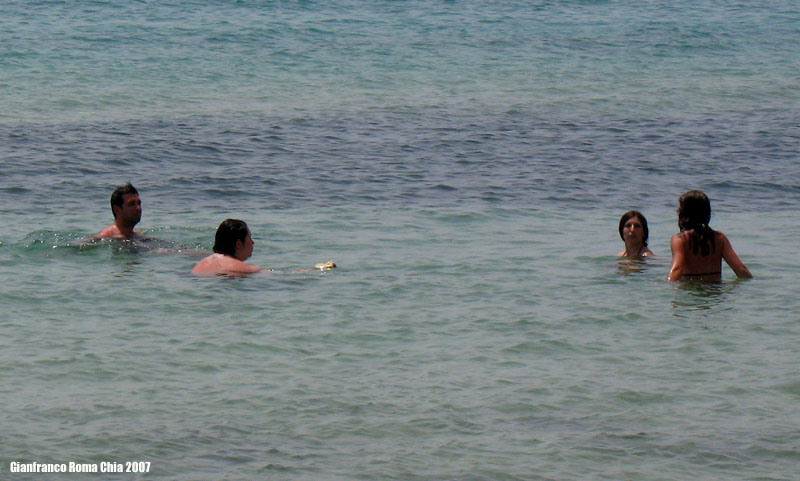 photo chia07.jpg