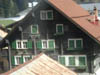photo eroszurigo380.JPG