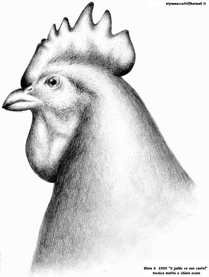 photo Disegno_Gallo_by-Ely_anno_2005.jpg