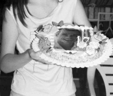 photo torta.bmp