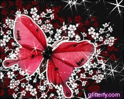 photo butterfly2.gif