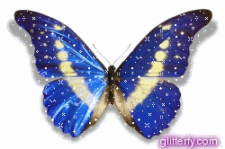 photo butterfly3.gif