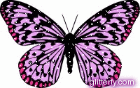 photo pink_butterfly.gif