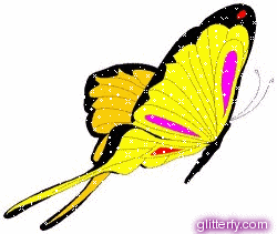 photo yellow_butterfly.gif