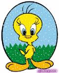 tweety4.gif