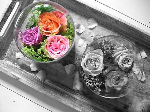 photo bloemzwkl.jpg