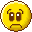 photo traan.gif