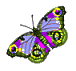 photo 00031.gif