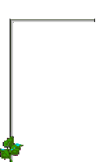 photo Blume00081.gif