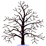 photo baum00008.gif
