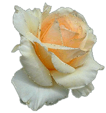photo glitzer13.gif