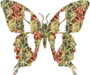photo glitzer5.gif