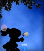 photo ost00020.gif