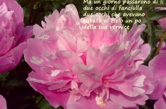 photo banner-20.jpg
