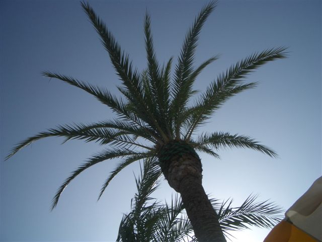 photo CIMG4381.JPG