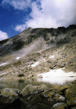 photo fdolina2.gif