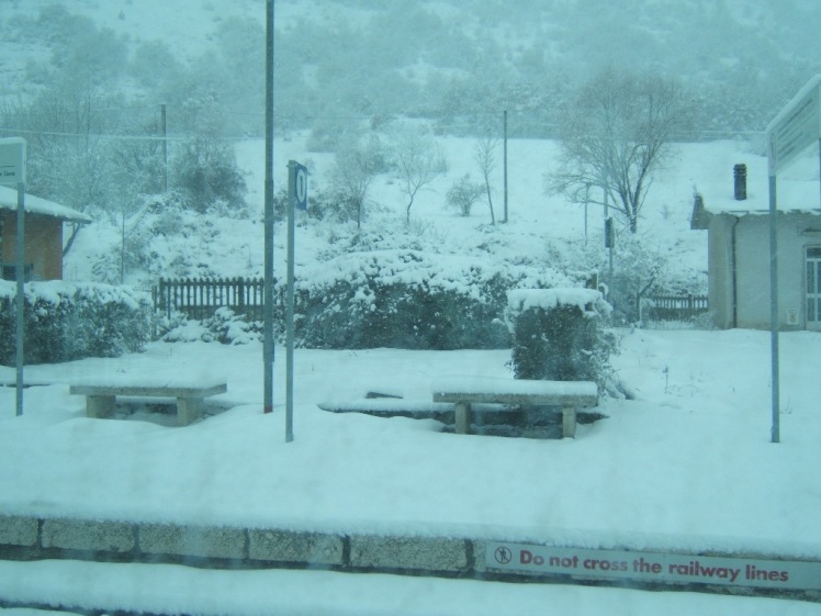 photo neve2.jpg