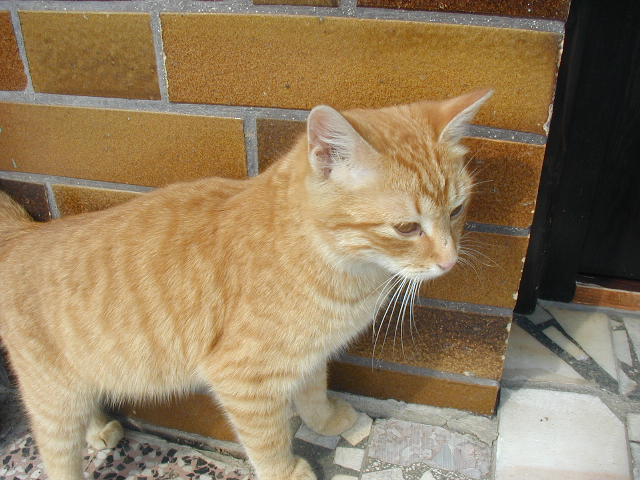 photo VENDY.JPG