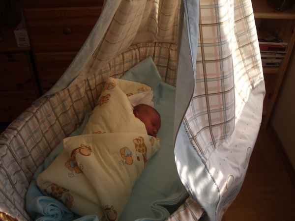 photo forumoliver3.jpg