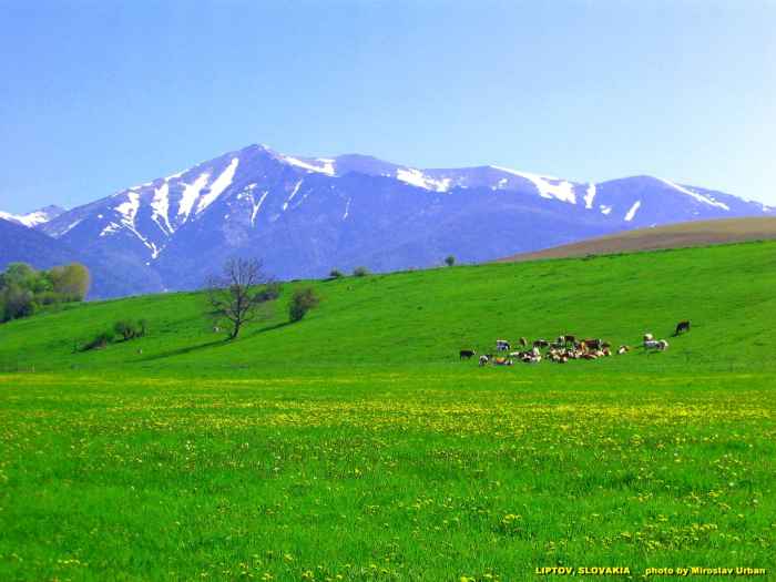 photo liptov.jpg