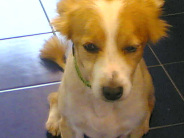 photo 15082006(002).jpg
