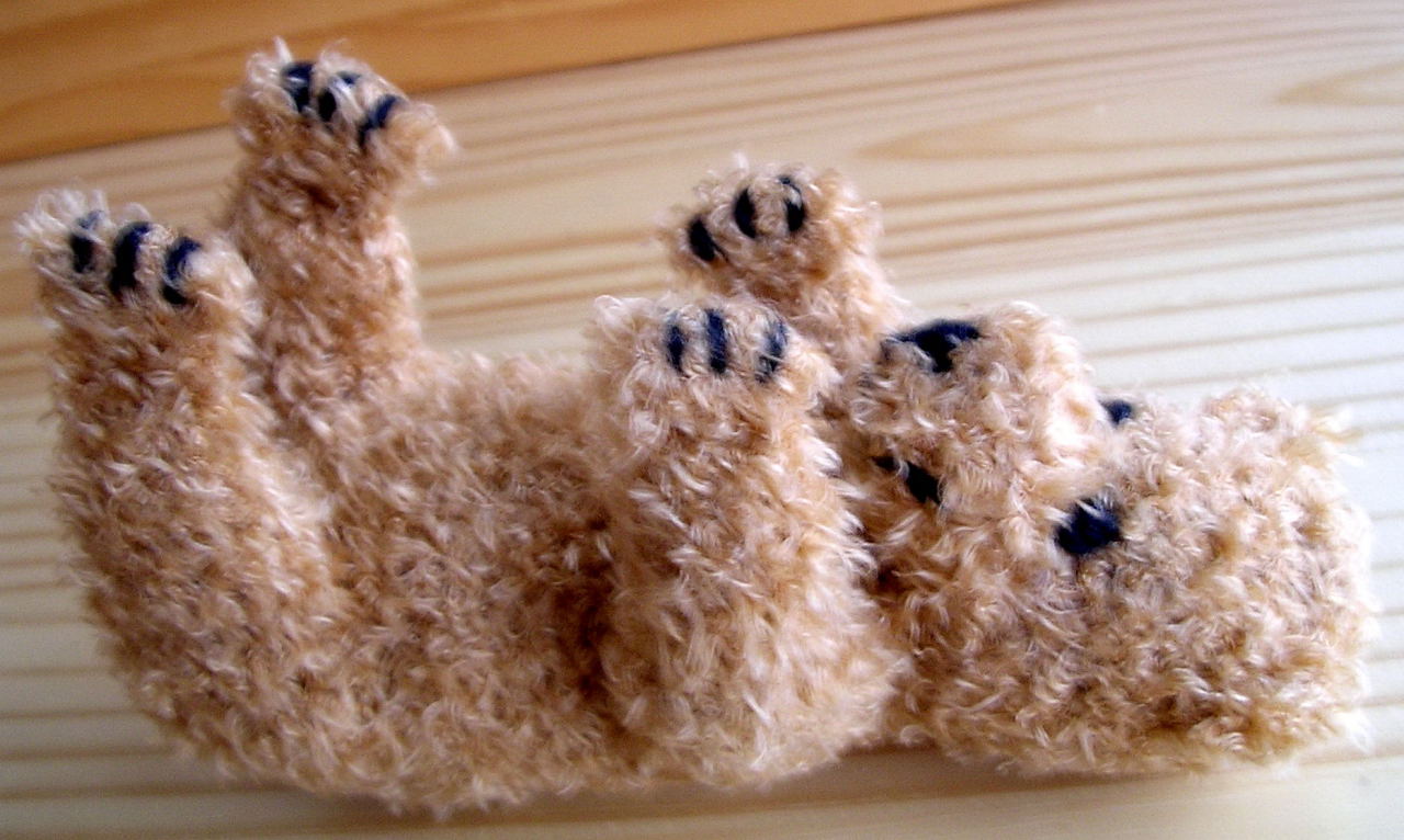 photo Teddy-liegend.JPG