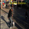 photo NalyArgentina.gif