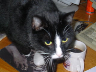 photo SSCN0441.JPG