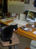 photo SSCN0758.JPG