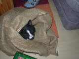 photo SSCN0760.JPG
