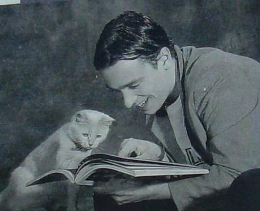photo katze19.jpg