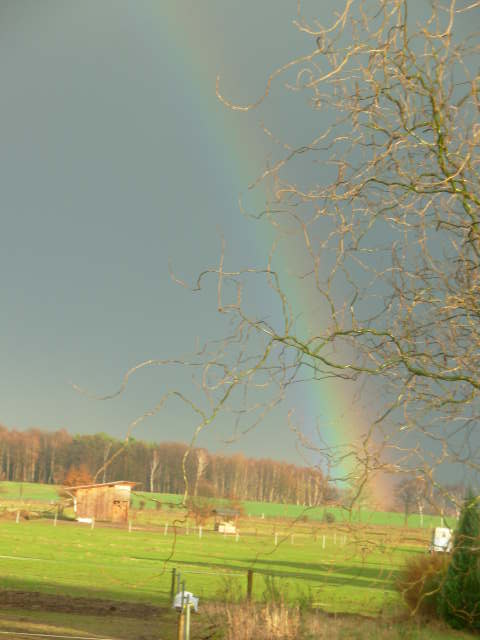 photo regenbogenklein.JPG