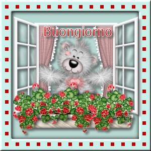 photo teddy13.gif