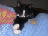 photo tinka25.JPG