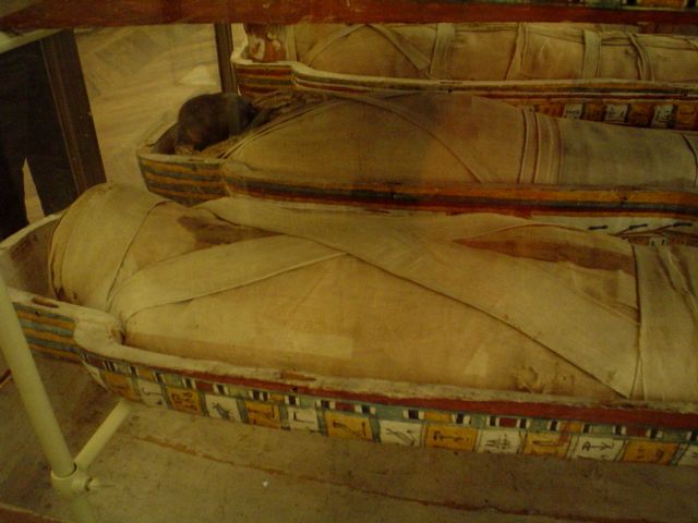 photo museo03.jpg