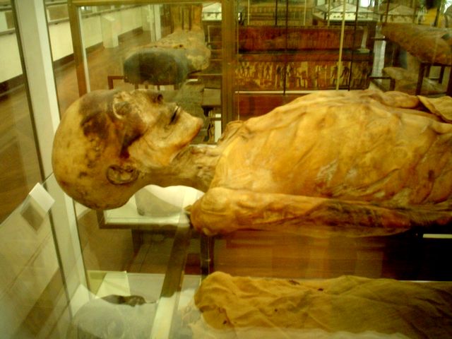 photo museo05.jpg