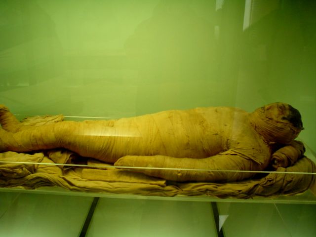 photo museo07.jpg