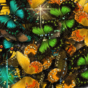 photo WEEKEND-06.gif