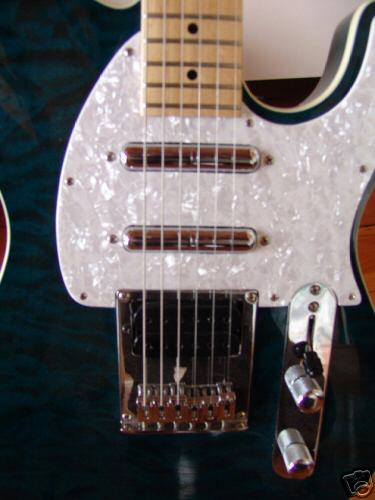 photo GuitFiddleCloseUp.jpg