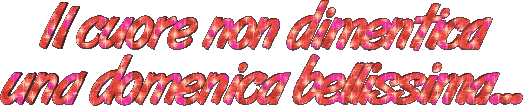 photo 0137.gif