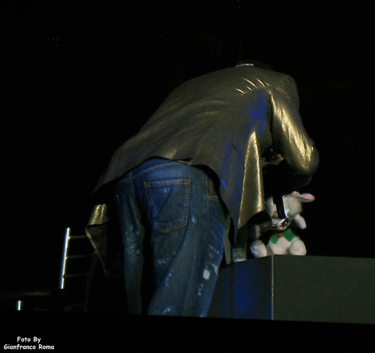photo brux07.jpg