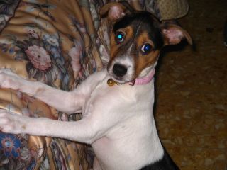 photo luna01.jpg