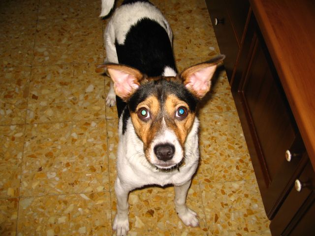 photo luna019.jpg