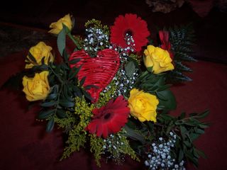 photo 100_3.JPG