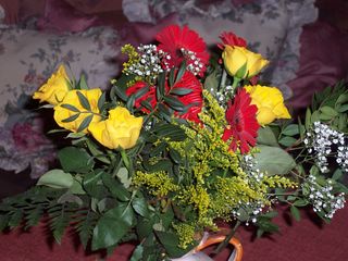 photo 100_6.JPG