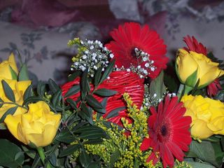 photo 100_9.JPG
