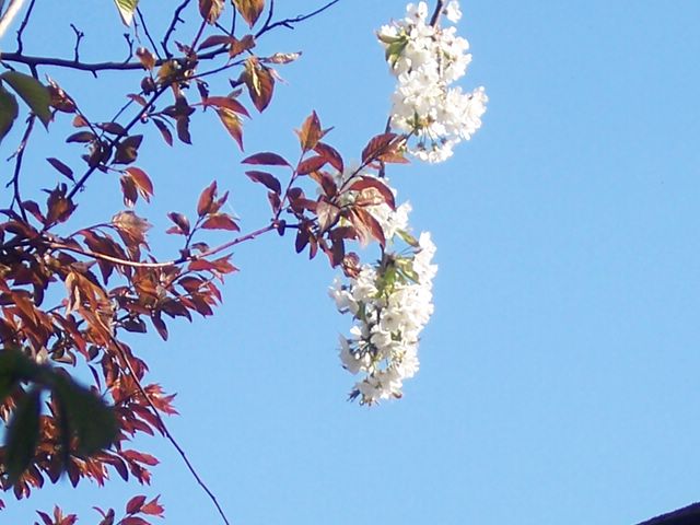 photo 1134zz.JPG
