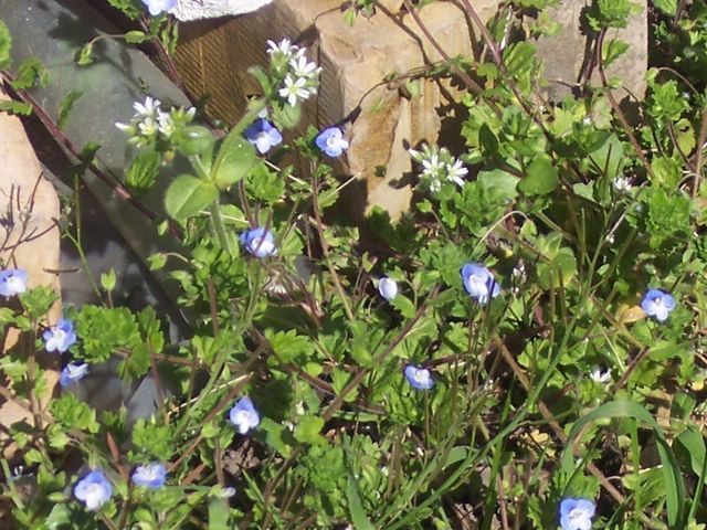 photo 189.JPG