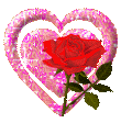 photo 26.gif