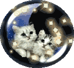 photo 7.gif